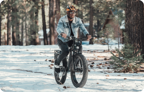 Full suspension ebike
