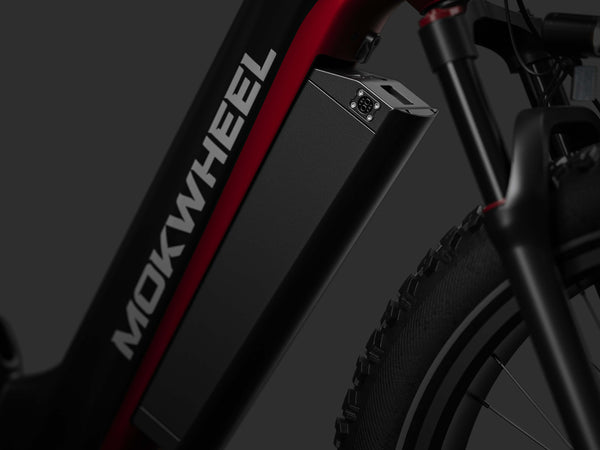 Hoge prestaties semi-geïntegreerde batterij