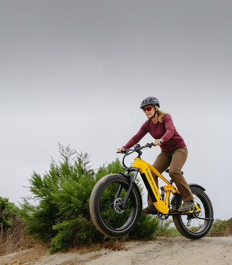 <p>Meer aanbiedingen</p>